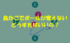 鳥かごでボールが奪えない。どうすればいいの？