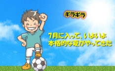 7月に入って本格的な夏がやってきた