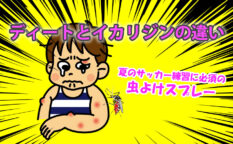 虫よけスプレー　ディートとイカリジンの違い　サッカー練習に必須