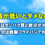 身長は低いとダメなの？鉄分は鉄製フライパンで対策！