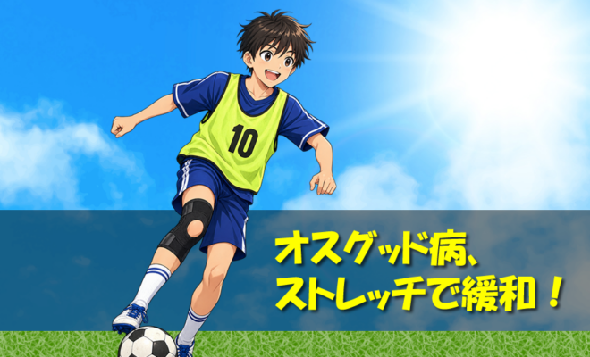 オスグッド病、ストレッチで緩和.fw